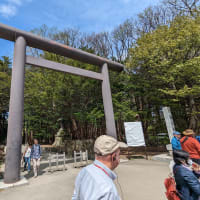A torii - traditional Japanese gate found at the entrance to the Shinto shrine