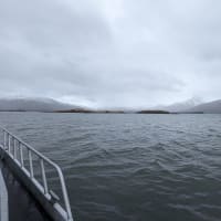 Sailing around Womens Bay