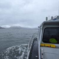 Sailing towards Womens Bay