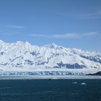 View of Hubbard Glacier and surroundings