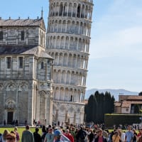 The Tower
