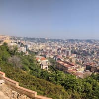 Panoramic view from the hill
