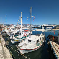 Moored boats