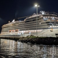 Viking Star at night