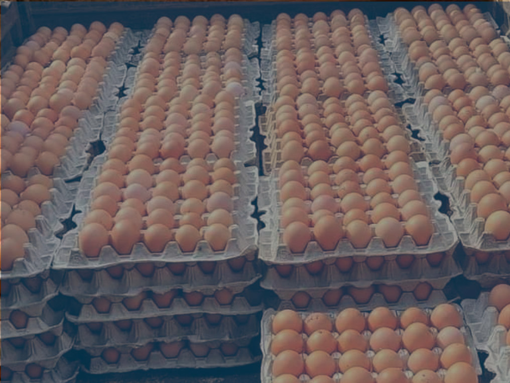 banner-img