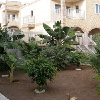 Hotel Vulcao
