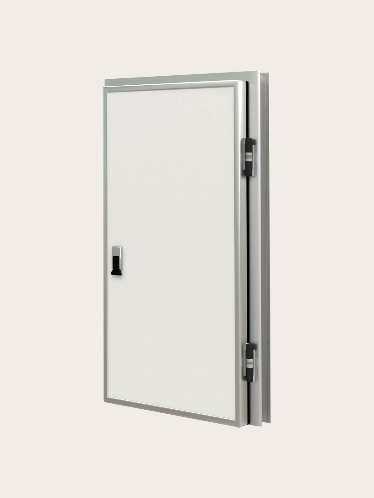Cold Room Doors