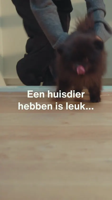 Samako Steelstofzuiger Draadloos - 450W - Kruimeldief - 4 Opzetstukken - Stofzuiger 32kPa zuigkracht - Zonder zak op accu - CleanDetect - afbeelding 2