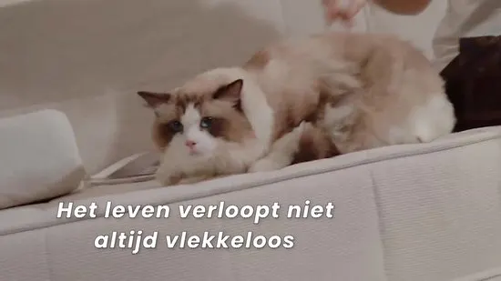 Sanovy Turbo Flex X28 Steelstofzuiger Draadloos - Zonder Zak - Op Accu - 350W - 28Kpa - Met Opzetstukken - Draadloze Stofzuiger Zonder Zak