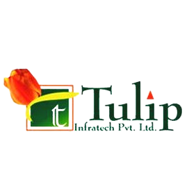 Tulip