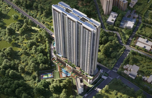 Satya Group