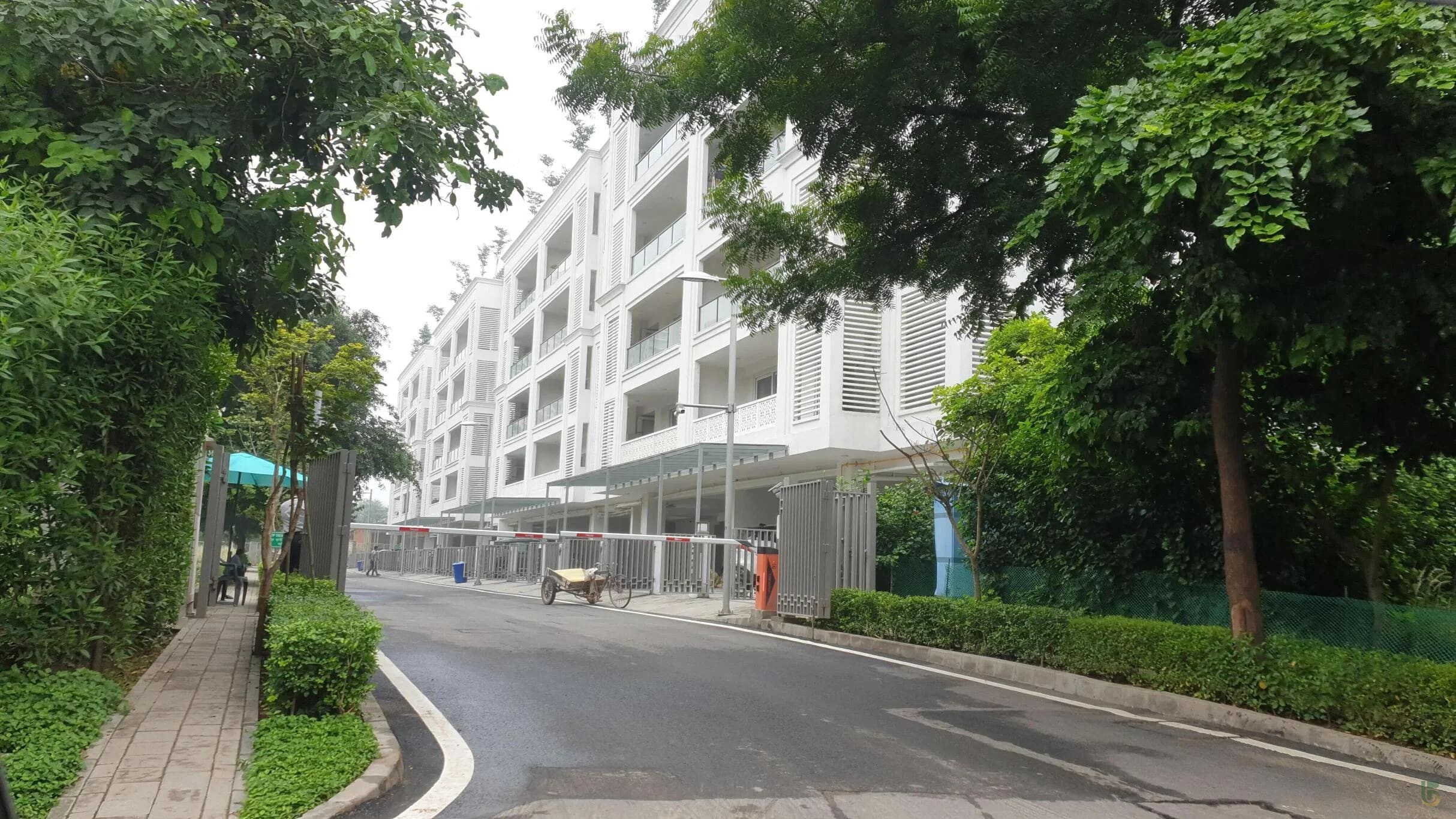 DLF The Grove DLF Phase 5 Sector- 54 Gurgaon