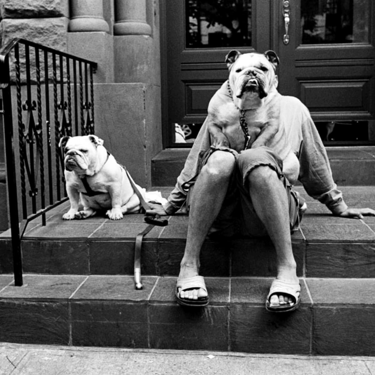 Elliot Erwitt