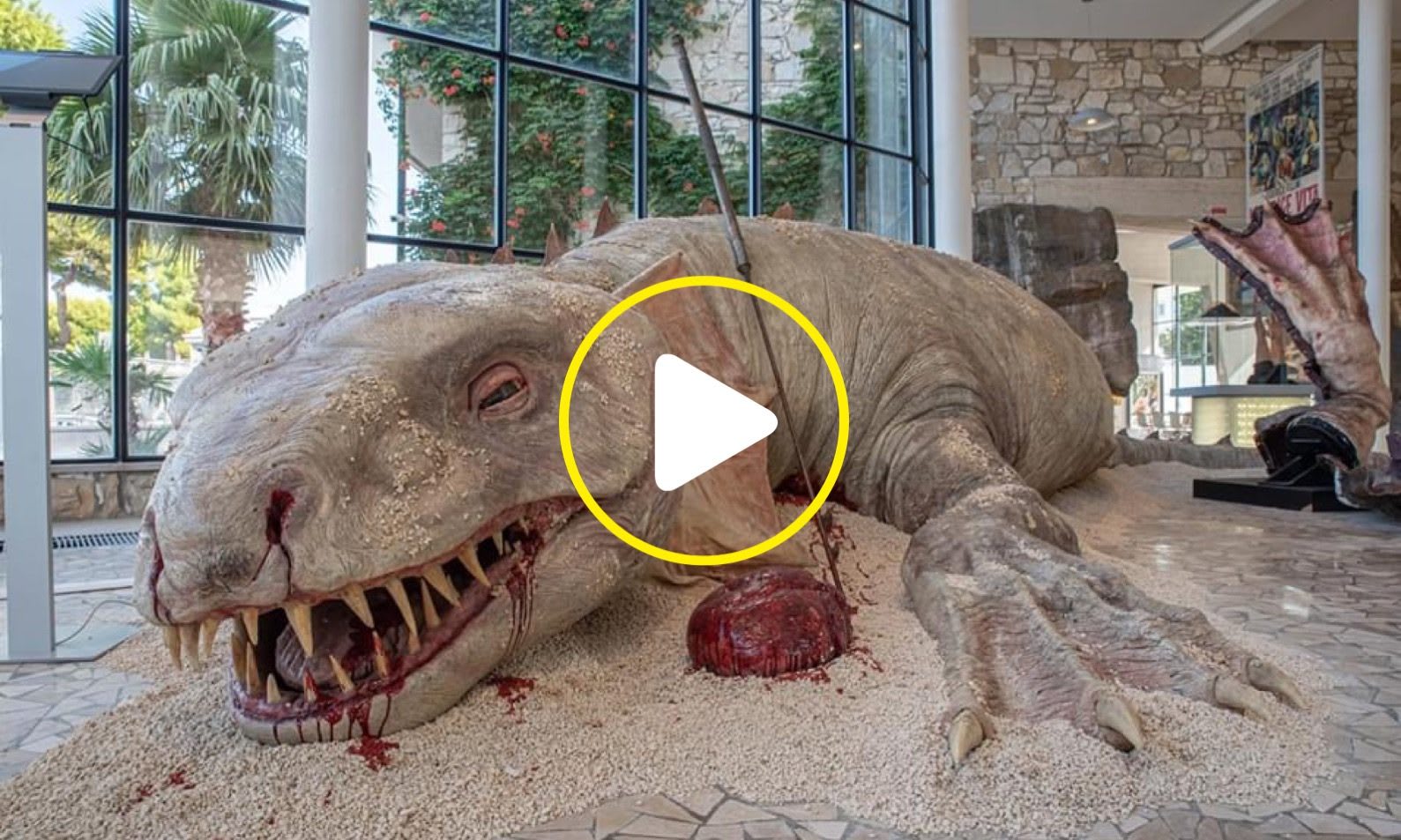 Apulia Film House — LA CASA DEL CINEMA