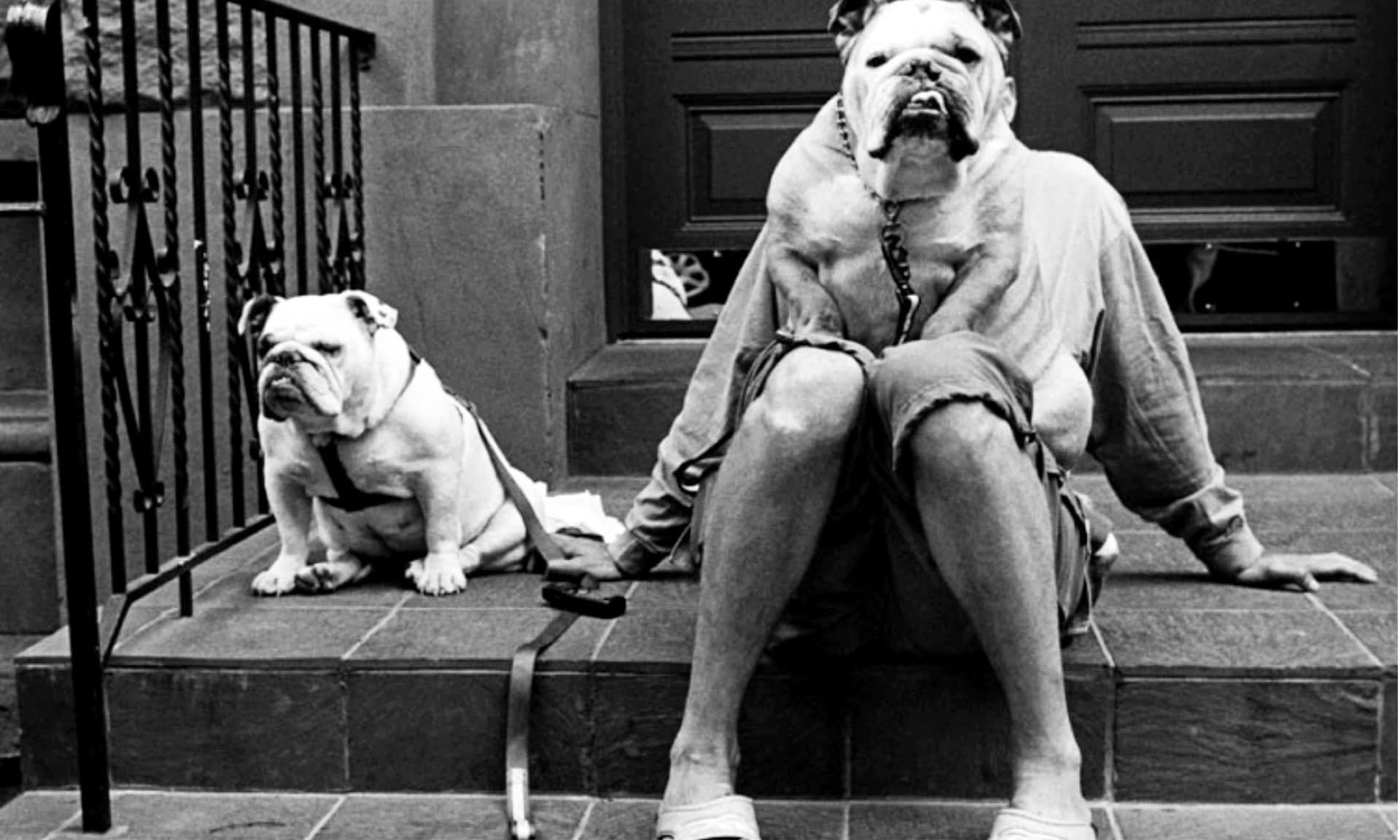 Elliot Erwitt — MOSTRA ANTOLOGICA