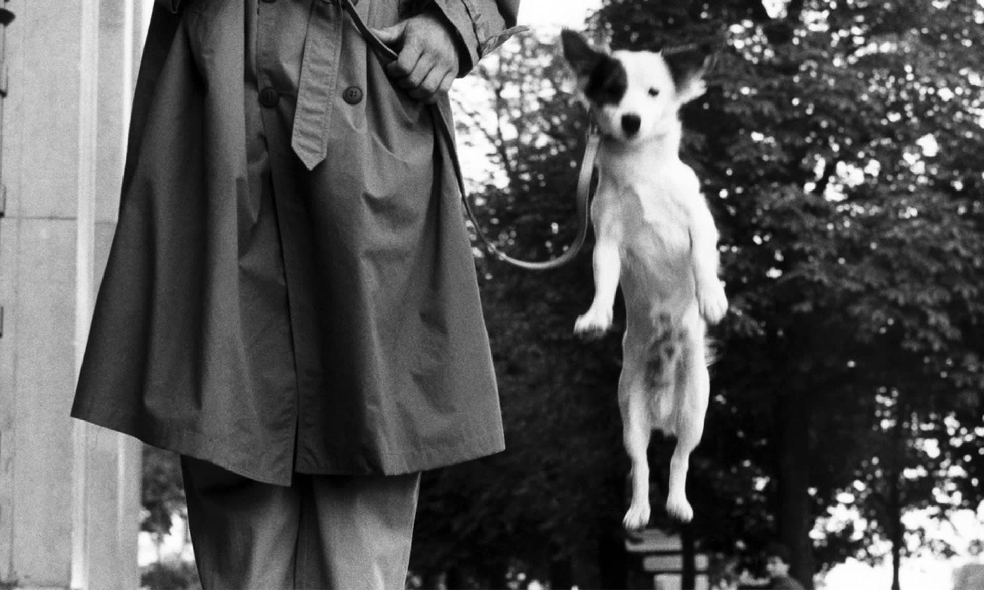 Elliot Erwitt — MOSTRA ANTOLOGICA