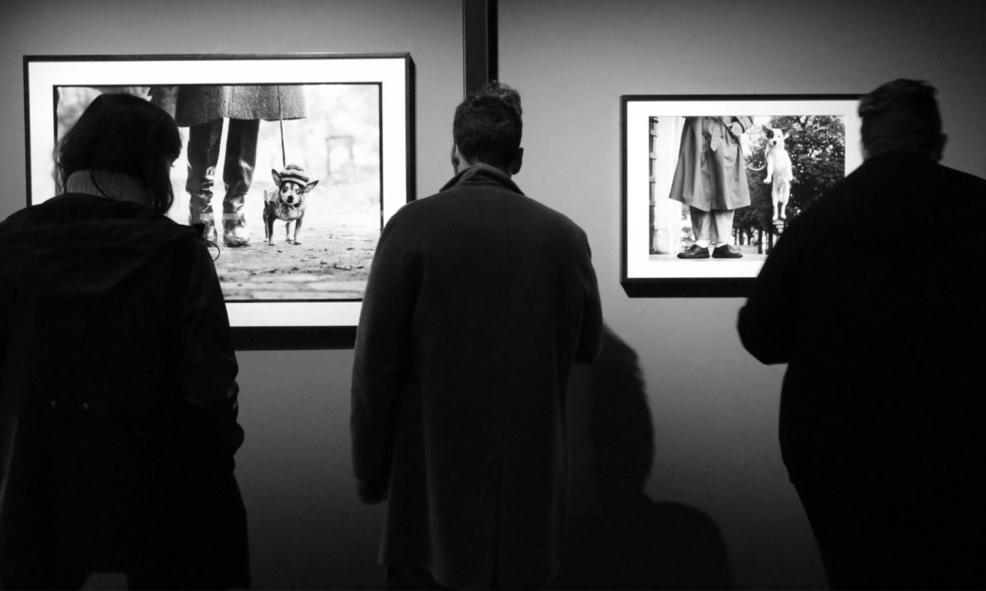 Elliot Erwitt — MOSTRA ANTOLOGICA