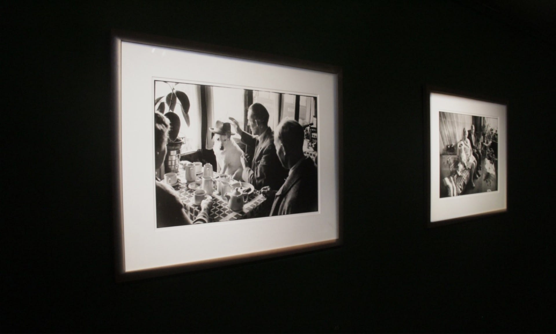 Elliot Erwitt — MOSTRA ANTOLOGICA