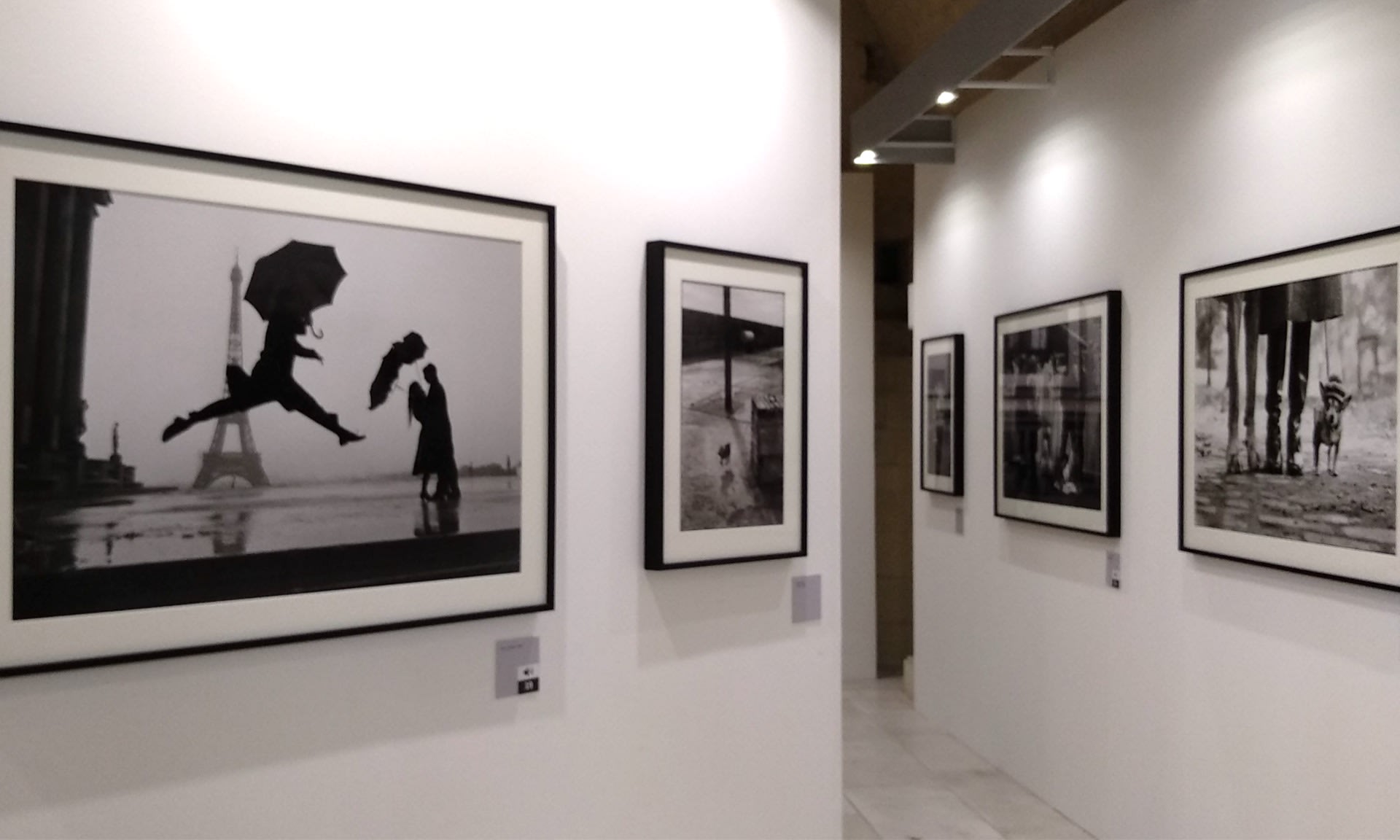 Elliot Erwitt — MOSTRA ANTOLOGICA