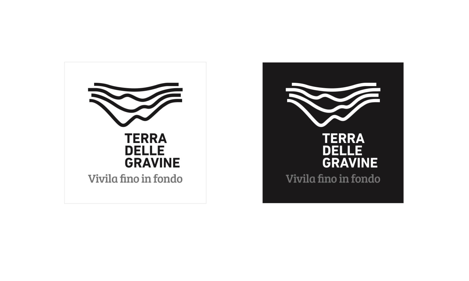 Terra delle Gravine — COMUNICAZIONE