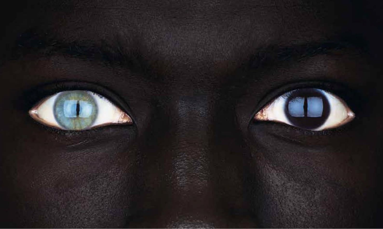 Oliviero Toscani — MOSTRA ANTOLOGICA