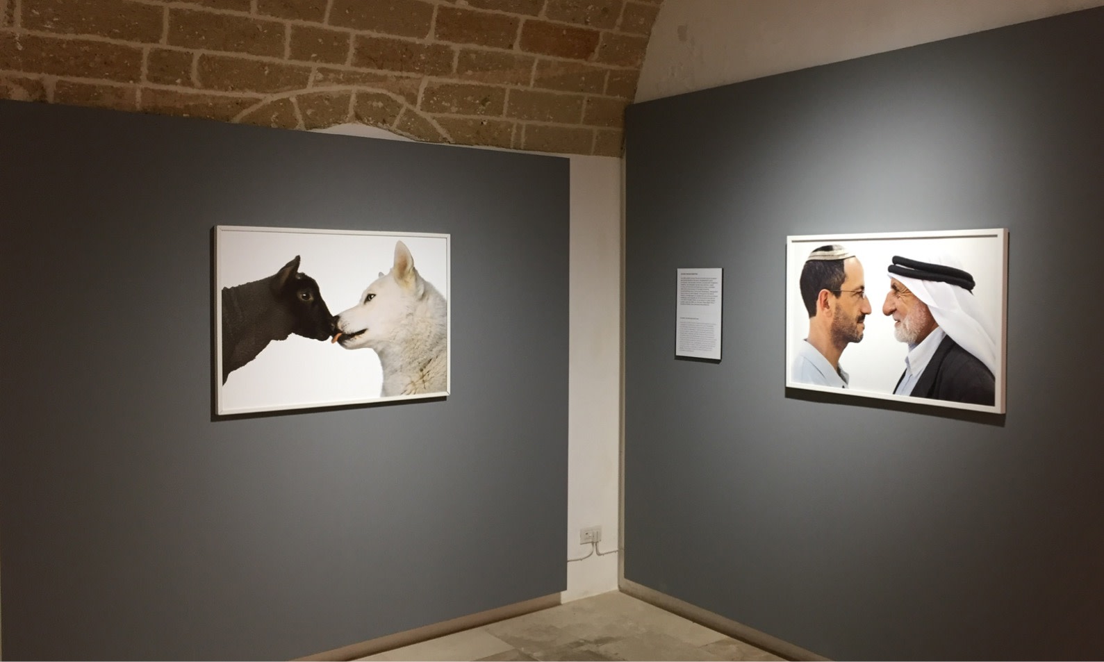 Oliviero Toscani — MOSTRA ANTOLOGICA