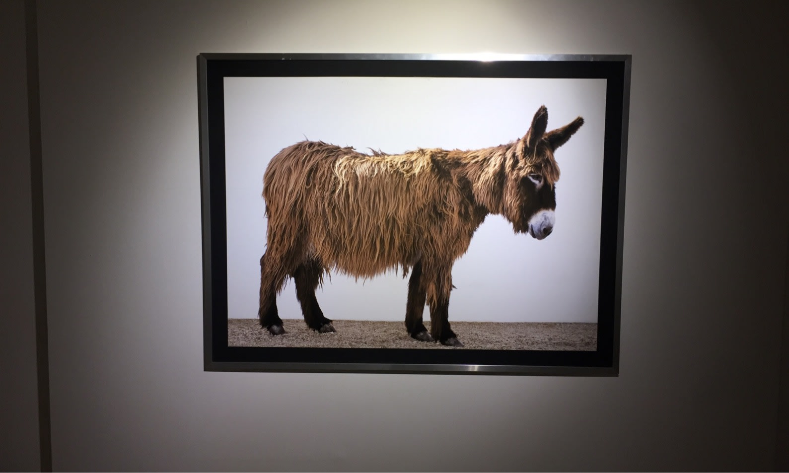 Oliviero Toscani — MOSTRA ANTOLOGICA