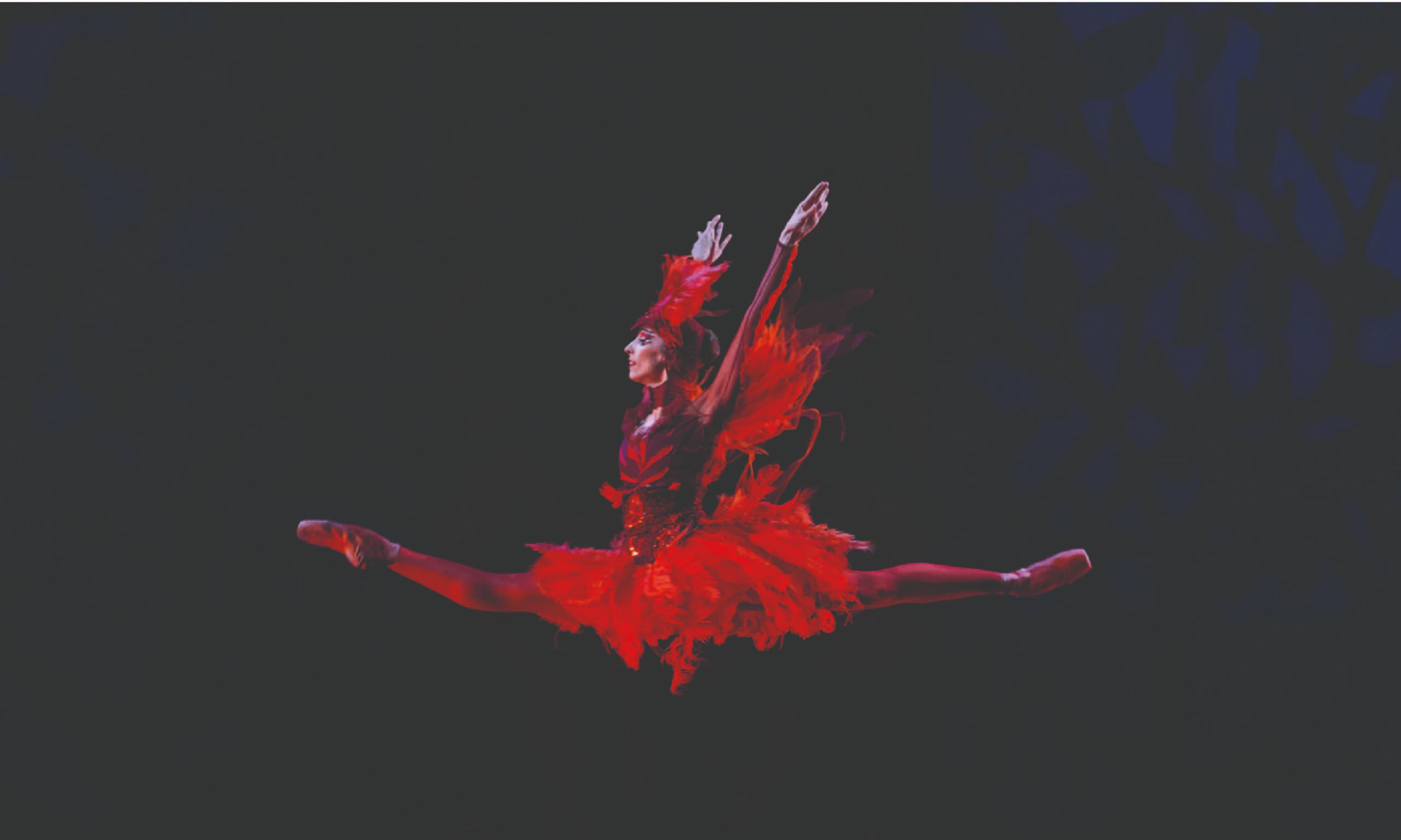 Balletto del Sud — CAMPAGNE DI COMUNICAZIONE