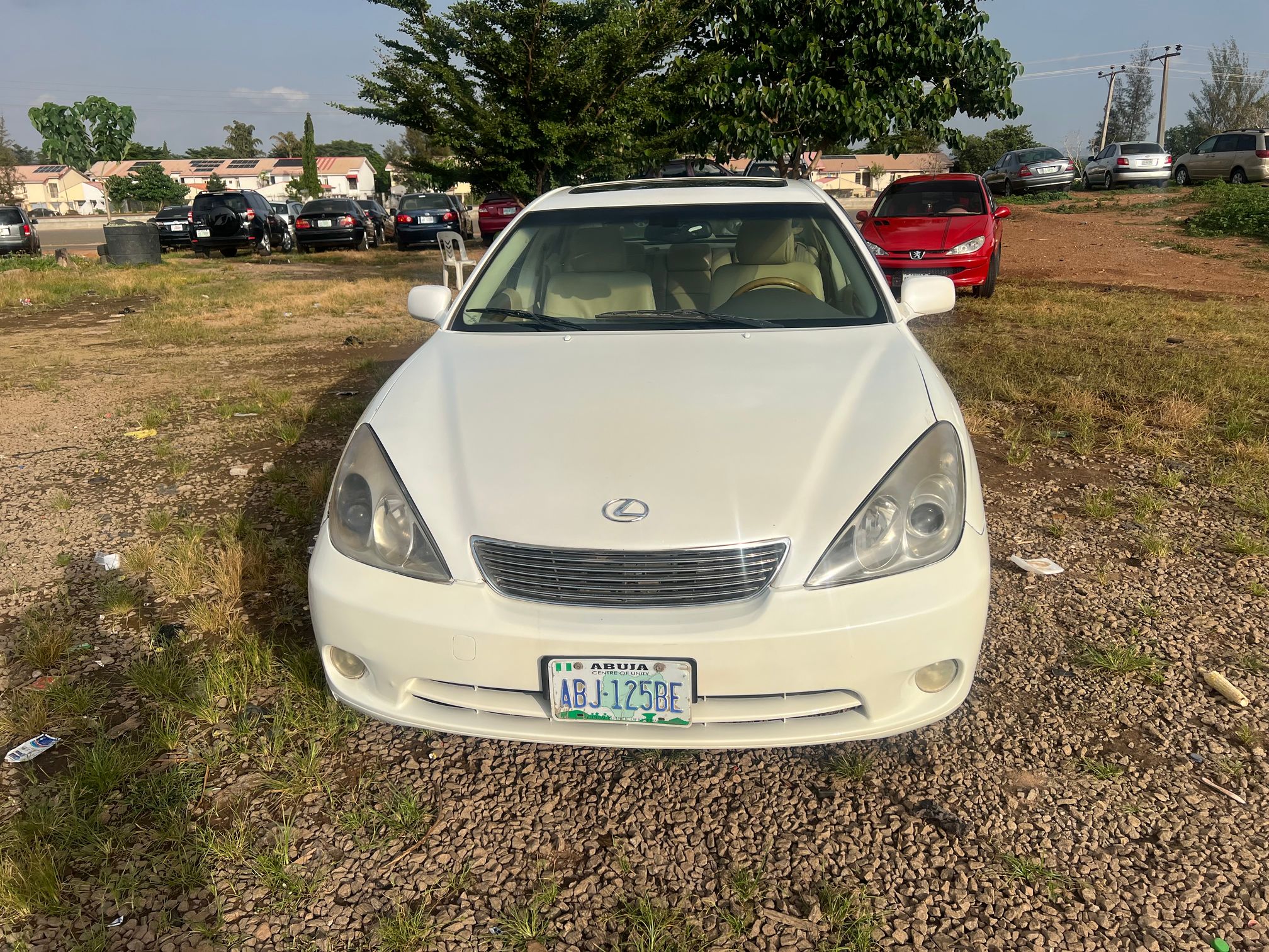 lexuses