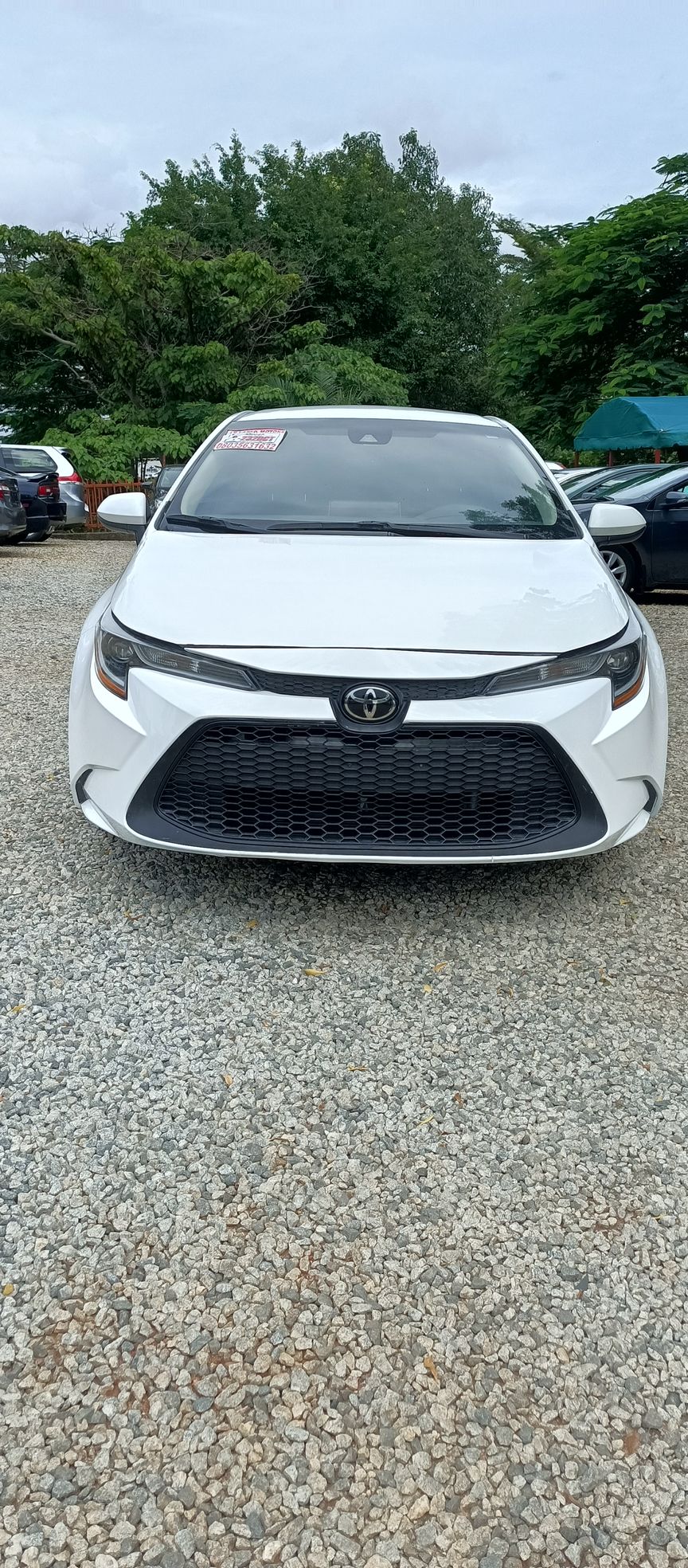 toyotacorolla