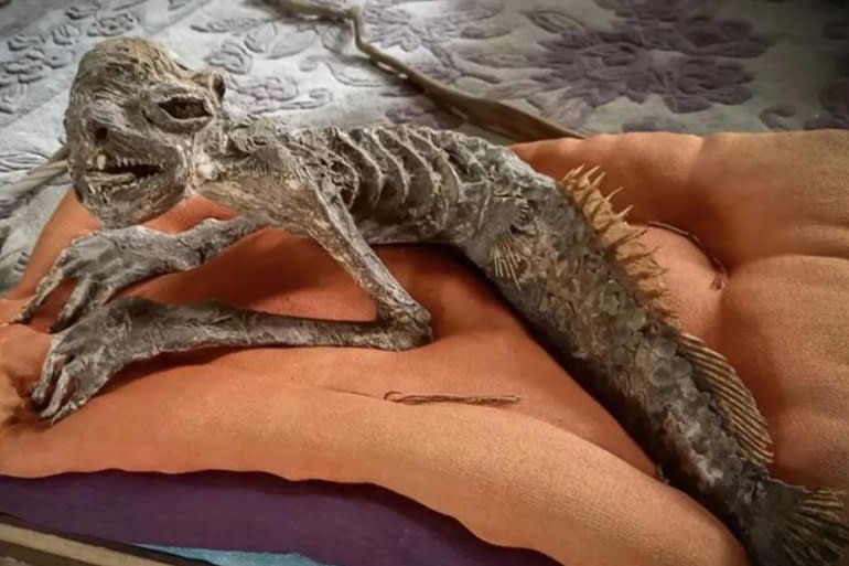 Le Japon aurait-il découvert une sirène ? Une étrange momie suscite la controverse et ravive la légende du « kappa ». Le Japon aurait-il découvert une sirène ? Une étrange momie suscite la controverse et ravive la légende du « kappa ».