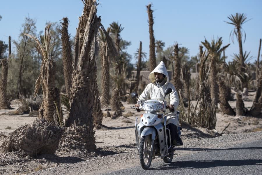 Le Maroc connaîtra des chaleurs estivales persistantes, avec des températures plus fraîches le long des côtes.