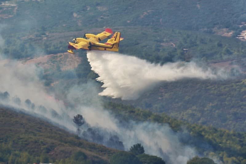 L'ANEF place 20 provinces marocaines en alerte rouge face au risque d'incendies de forêt