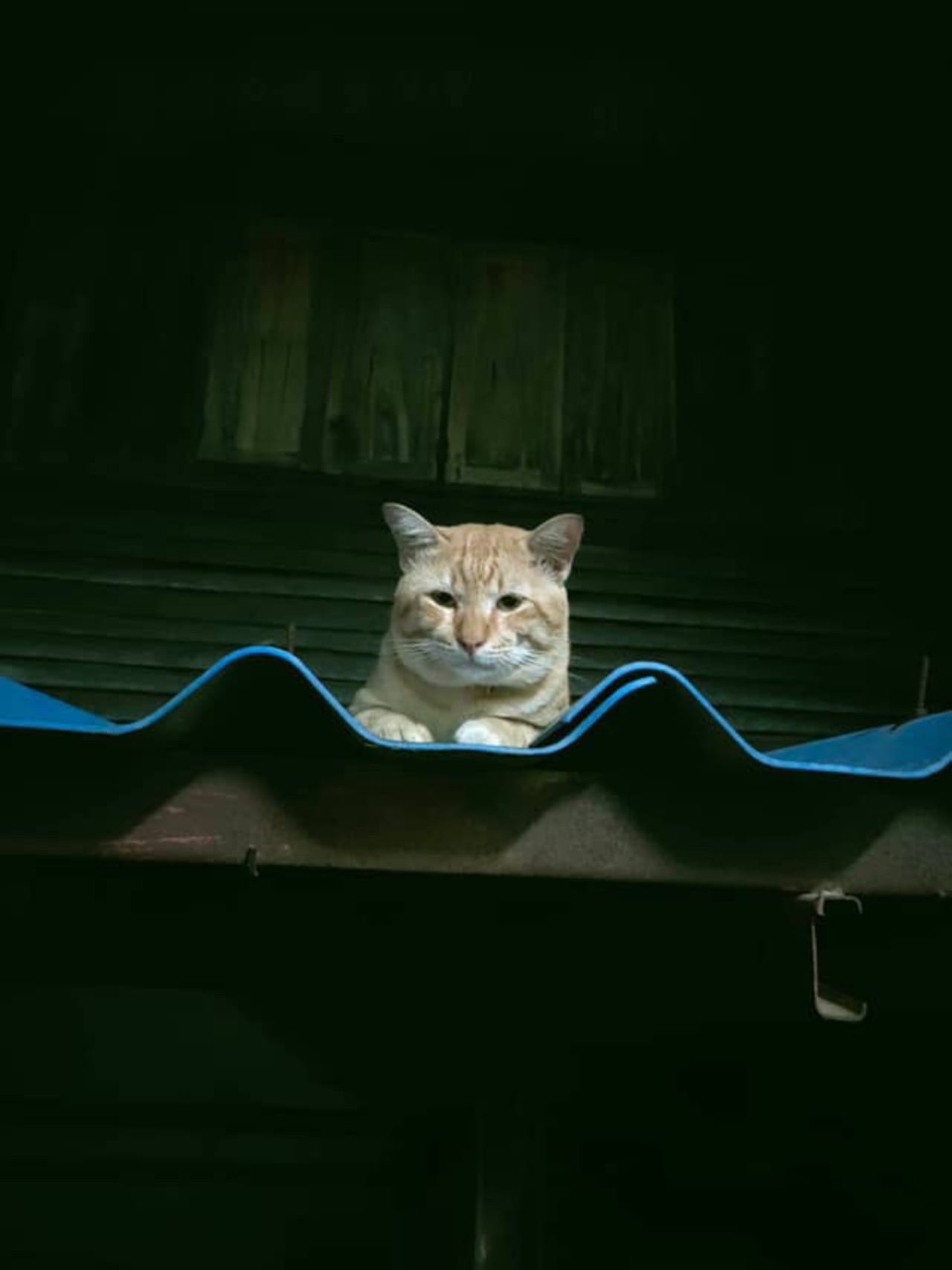 เกศมายด์นิ่งช็อป