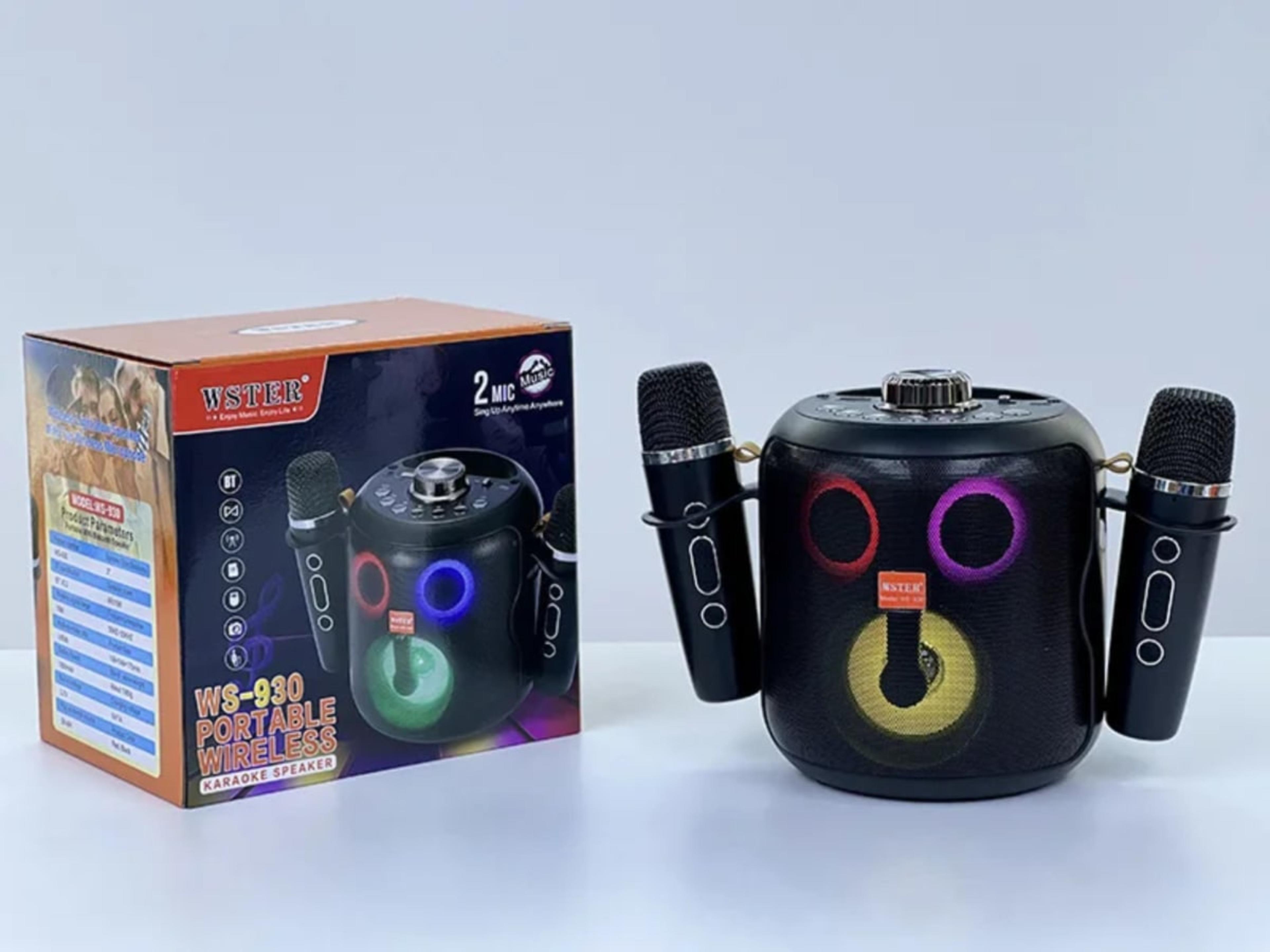 Station Karaoké Bluetooth WSTER WS-930 avec 2 Micros Sans Fil