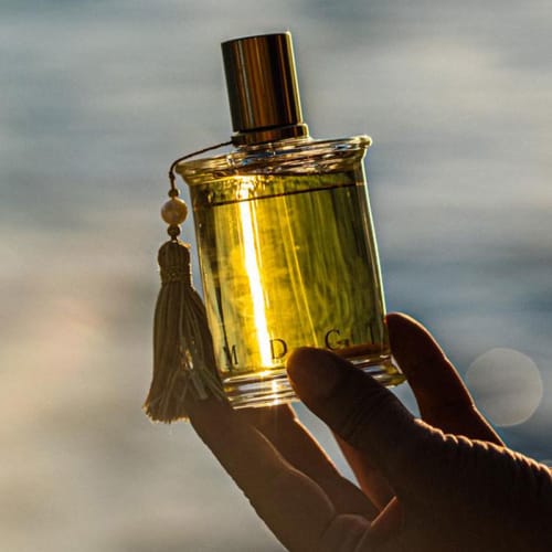 Parfums MDCI — official distribution in Moldova by Brands House