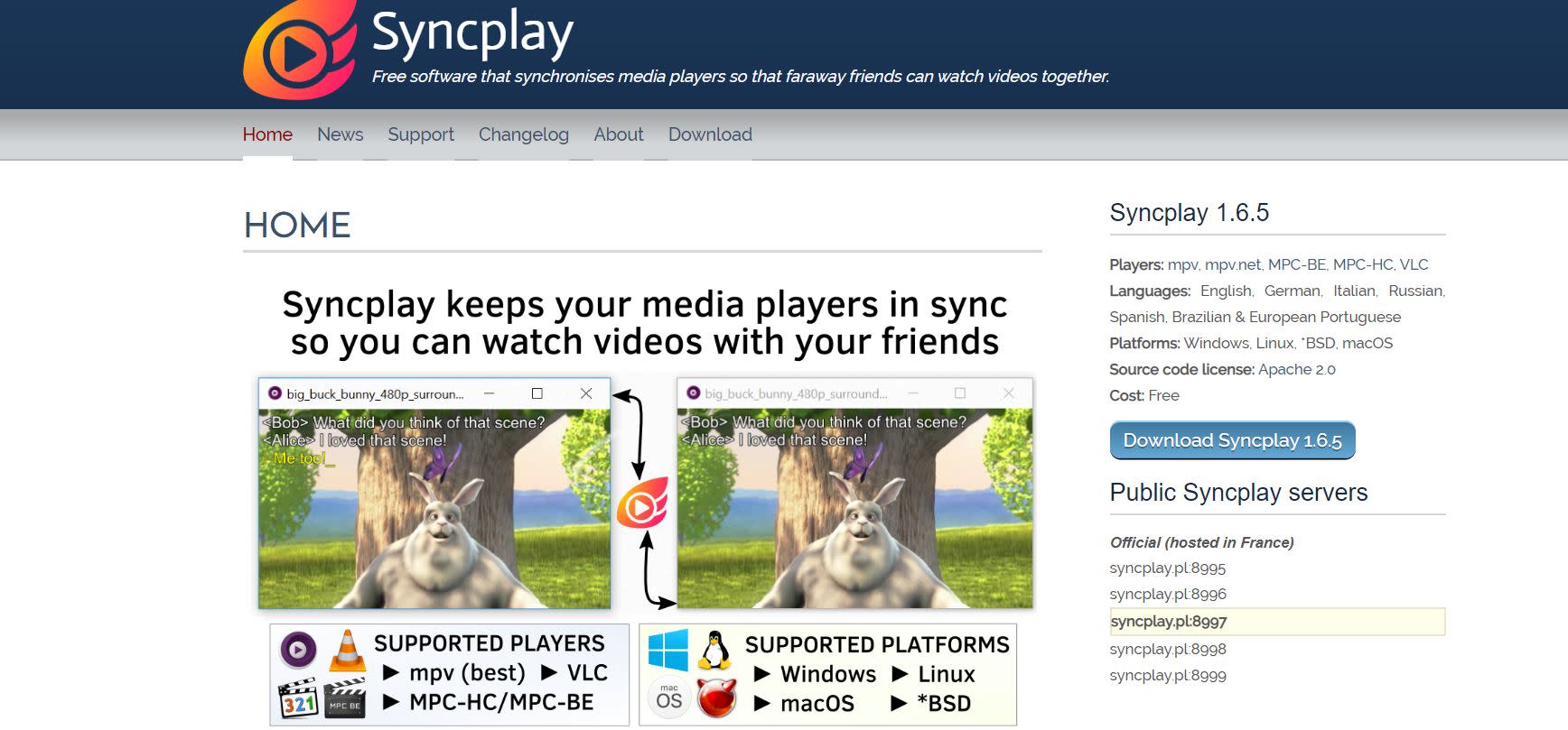 syncplay failed to load public server