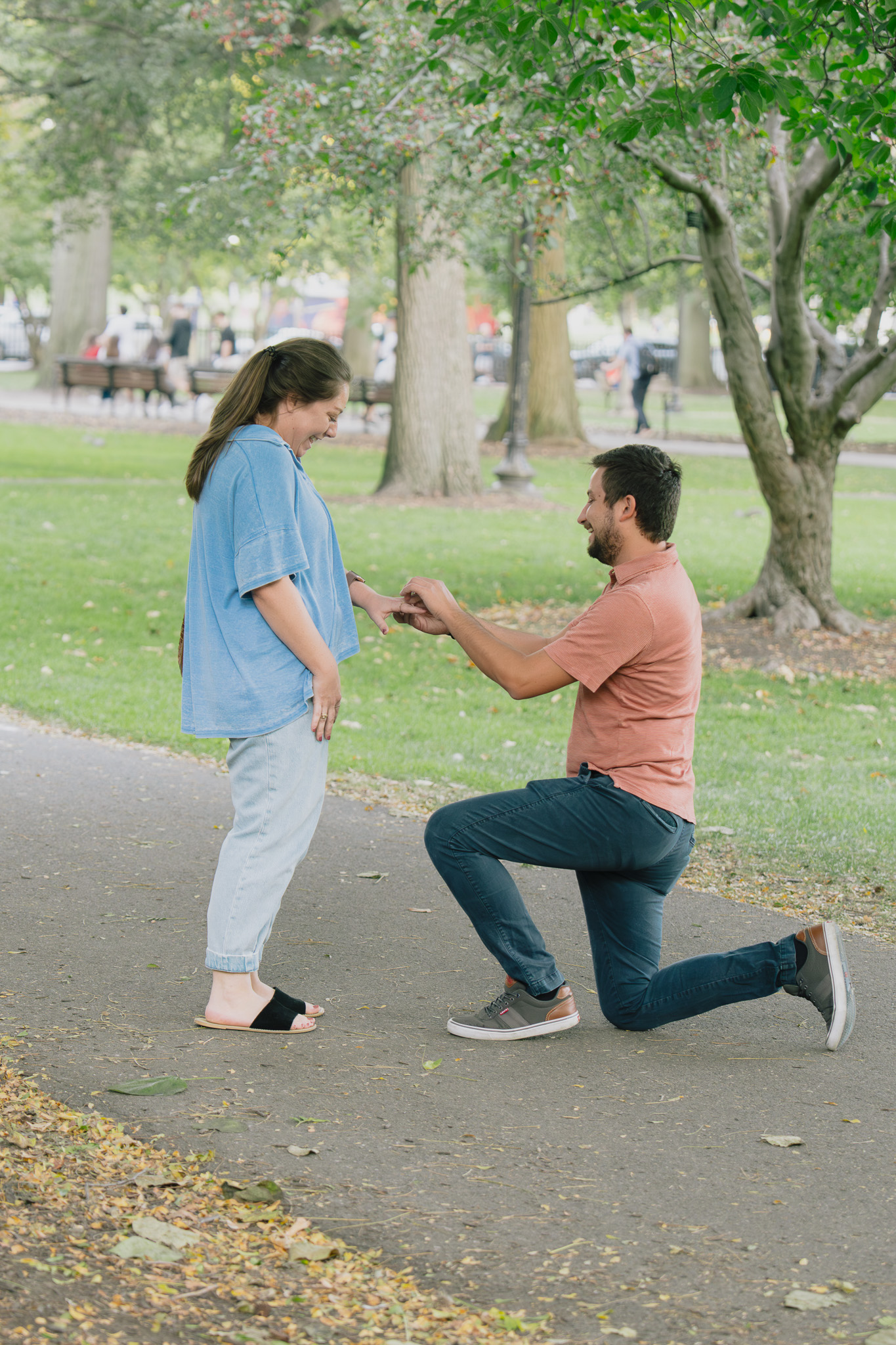 Public Garden proposal