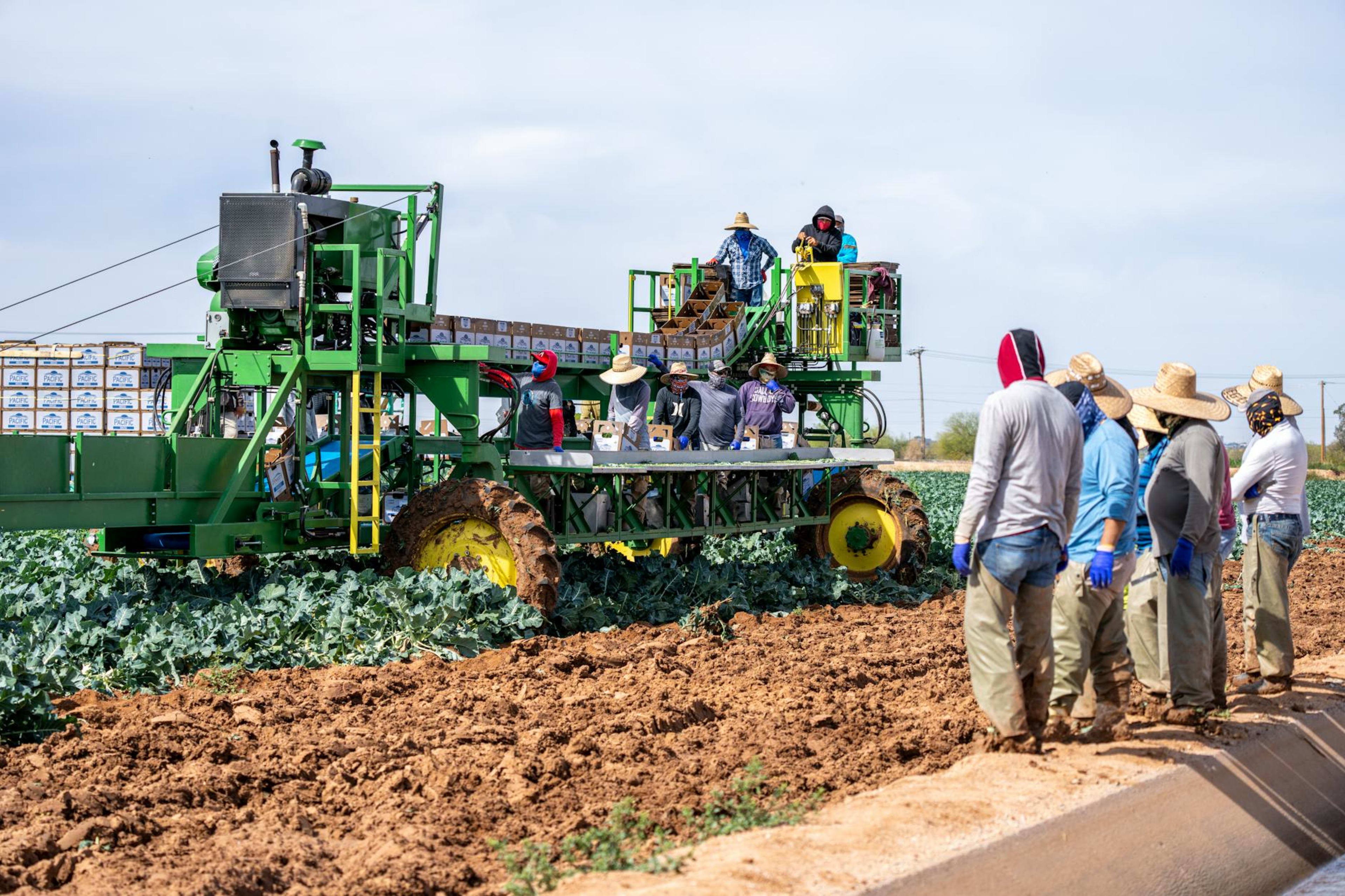 Agriculture & Farm Work