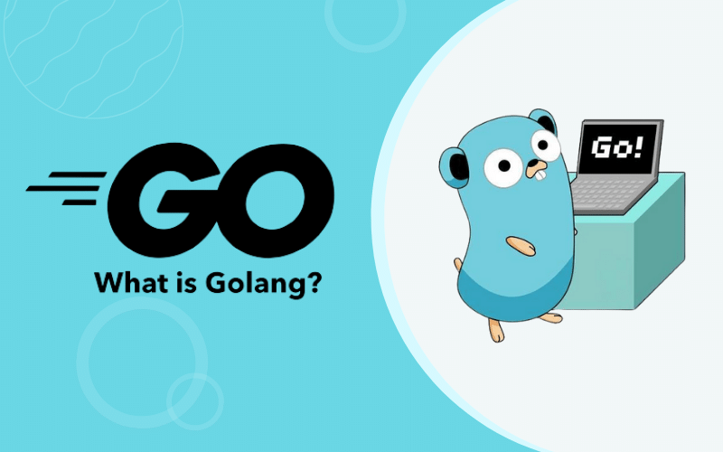 Why I Choose Go as My Primary Stack — 1 / 4