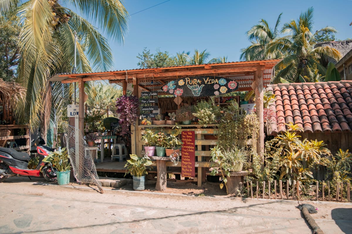 A small plant-filled café with a palm-roofed terrace on a sandy street in Mazunte, Oaxaca