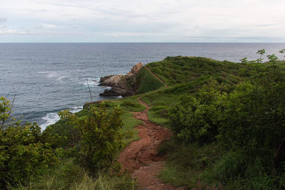 Footpath through green scrub to the headland of Punta Cometa above the Pacific near Mazunte