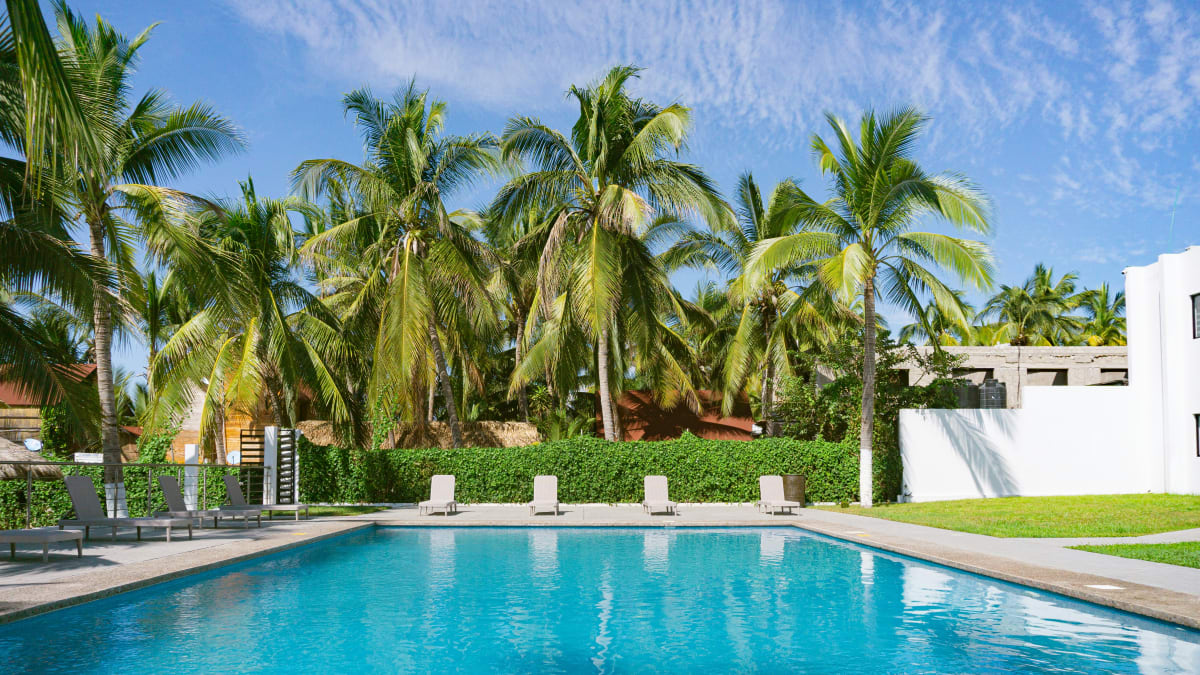 A private swimming pool with lounge chairs, framed by tall palm trees and a green hedge, the kind of garden pool common in Bacocho Puerto Escondido rentals