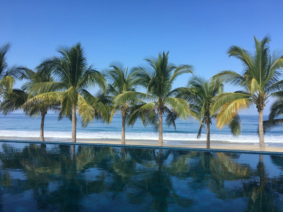 Swimming pool lined with palm trees in front of a beach