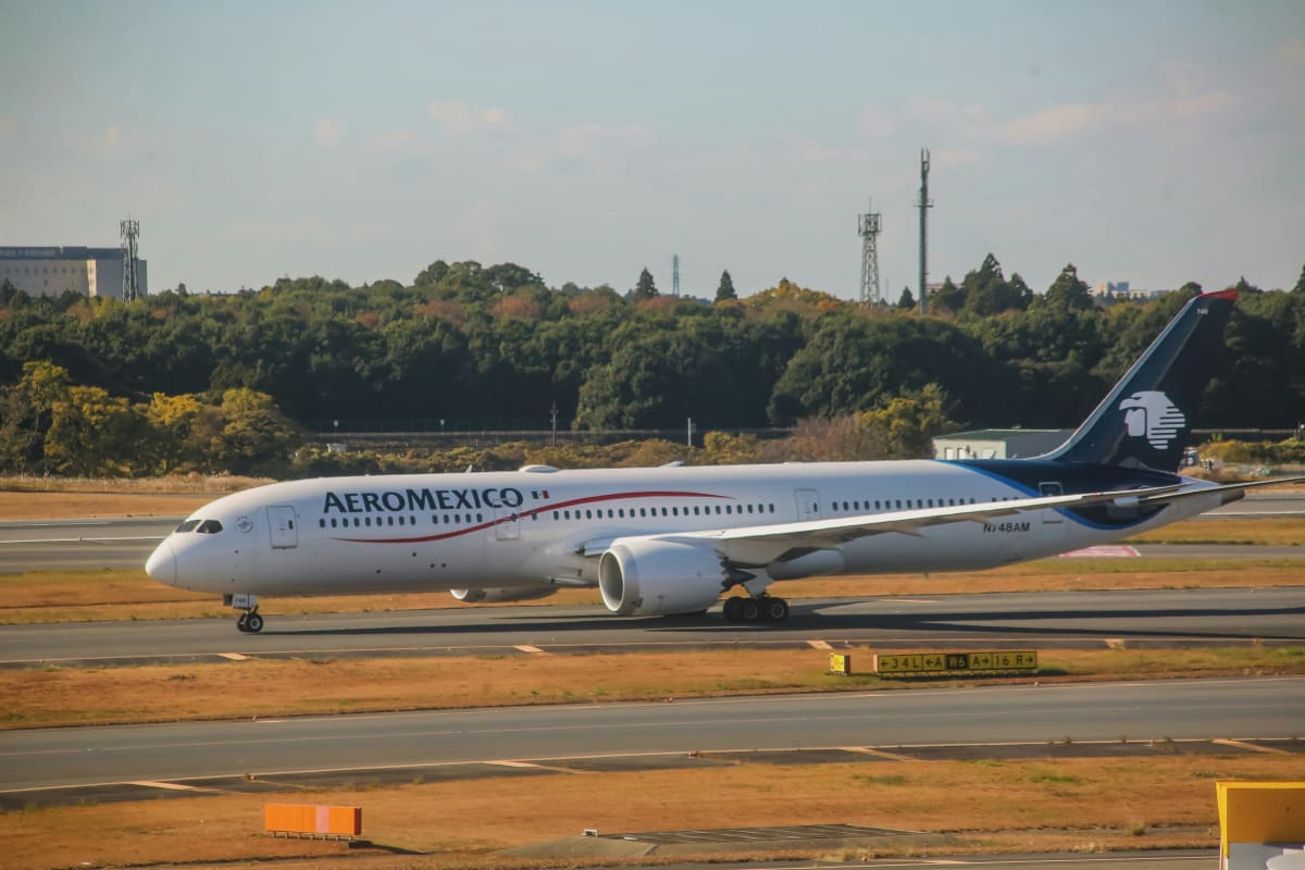 Avión Boeing 787 Dreamliner en pista de aeropuerto — impacto del vuelo directo Houston Puerto Escondido en bienes raíces