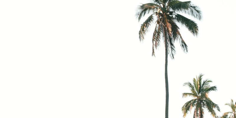 Why Americans Are Moving to Puerto Escondido in 2026
