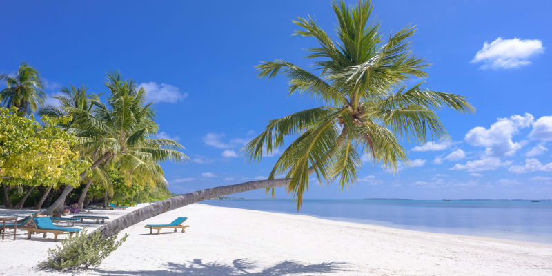Puerto Escondido vs Mazatlán: Coast vs Coast Property Comparison