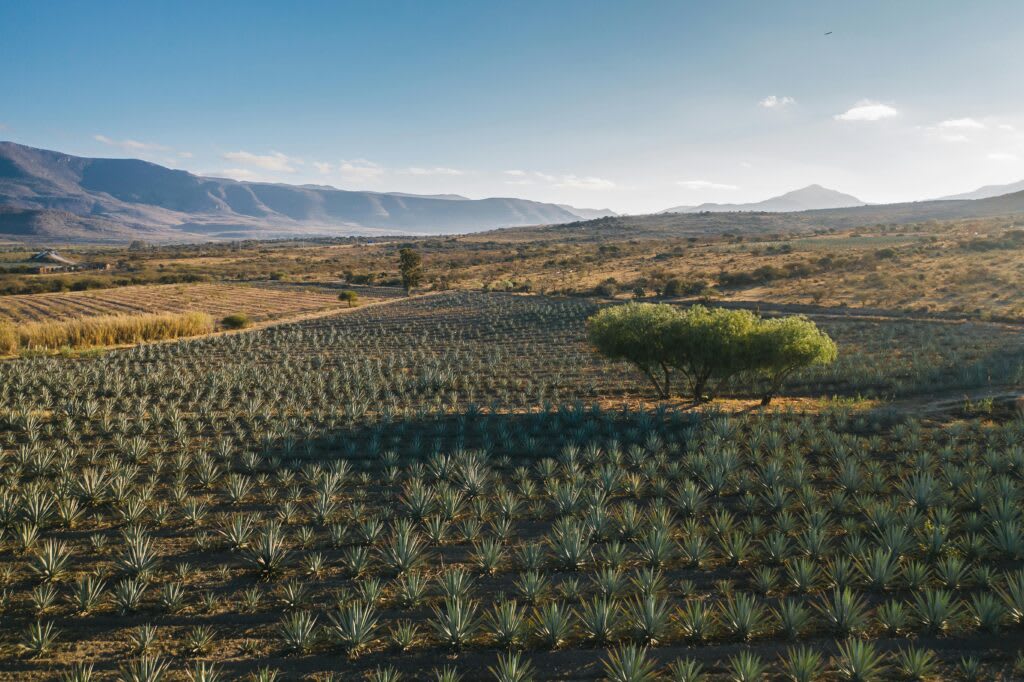 Guía Definitiva para Comprar Propiedades en Oaxaca para Extranjeros (Actualización 2025)