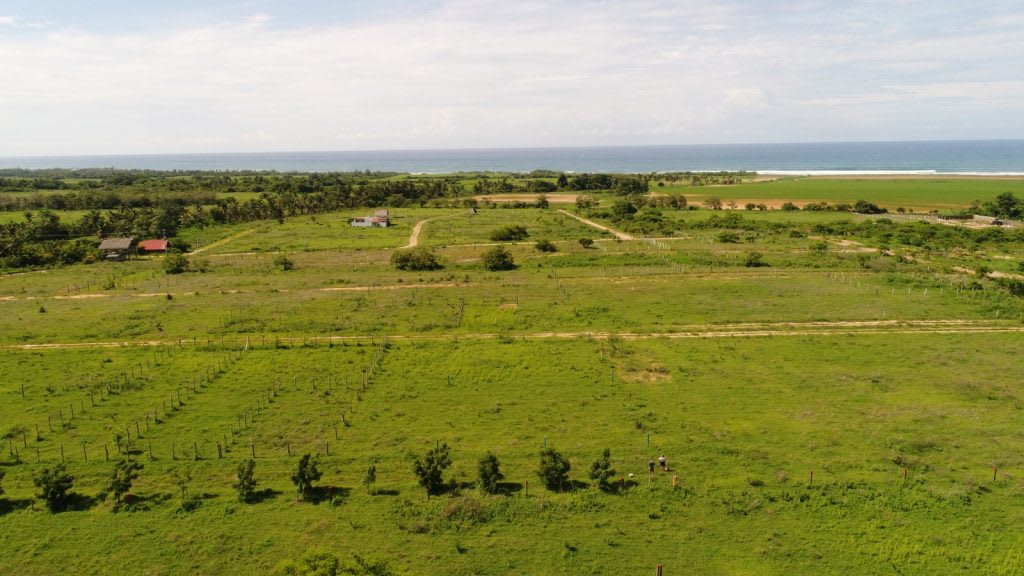 How to Prepare for the Process of Buying Land in Puerto Escondido?