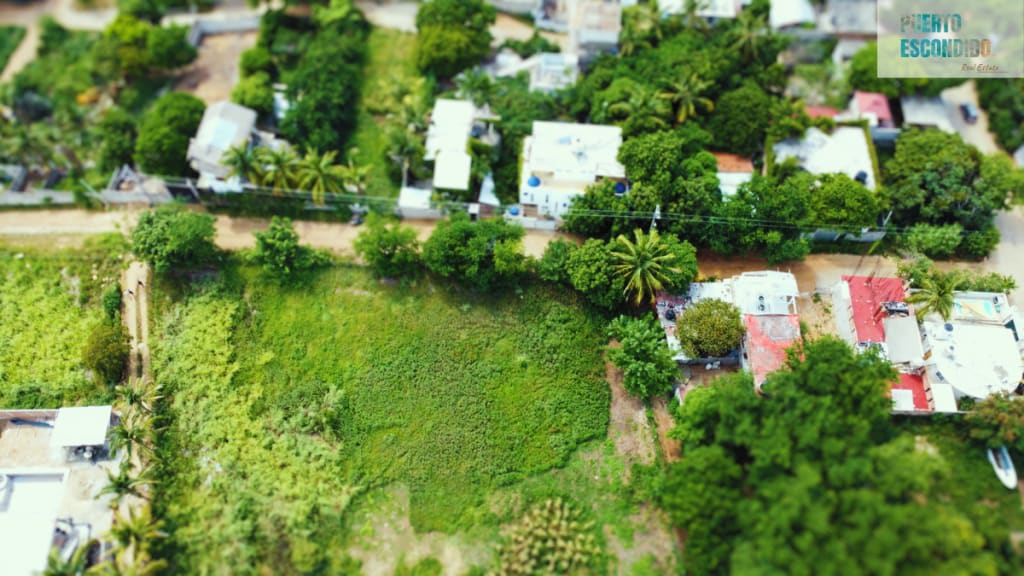 ¿Cómo Verificar el Título de un Terreno Antes de Comprar en Puerto Escondido?